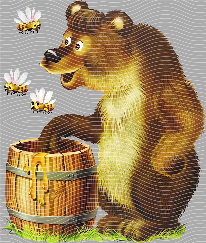 Cool Bear-X 338